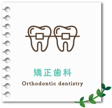 矯正歯科